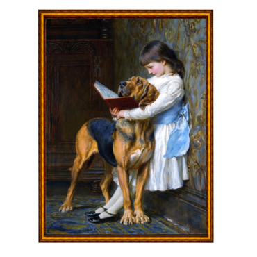 Educação Obrigatória